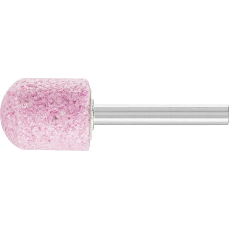 WR 2025 6 AR   30 O 5V TĚLÍSKO BRUSNÉ (PF4007220100943)