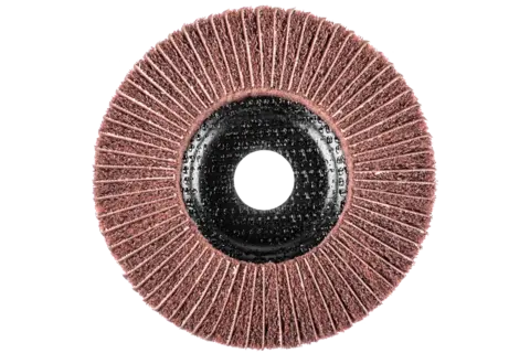 Brusný kotouč POLINOX Pferd PNZ 125-22,23 A 180 (PF4007220104347)