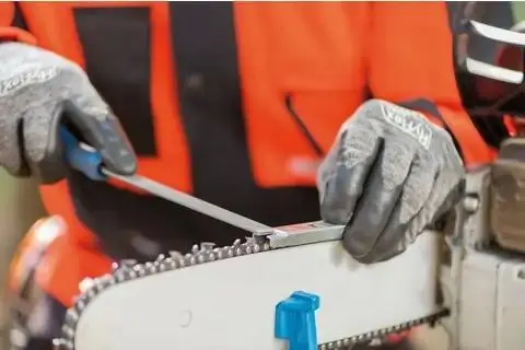 147922-pferd-174937-1213-ruk-200-h2-04