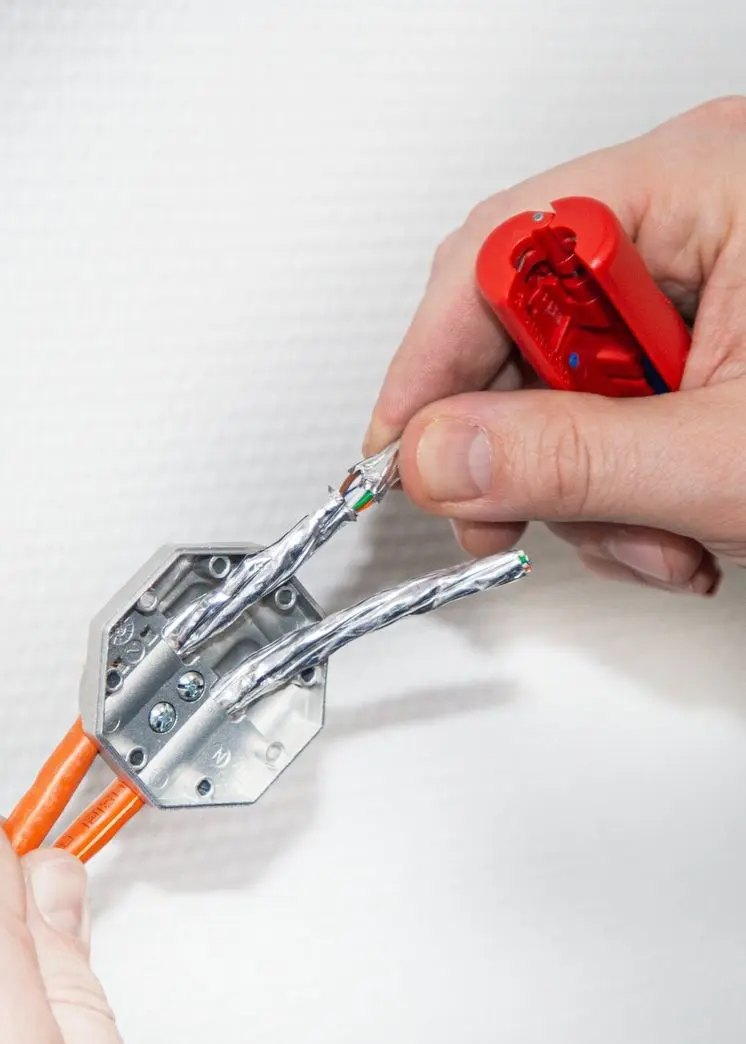 148363-52002002-stripper-no-2-cat-19