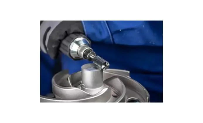 151021-pferd-226681-1312-micro-offen-03