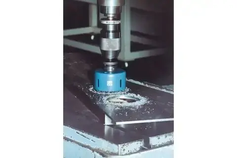 152857-pferd-244777-hls-60-02