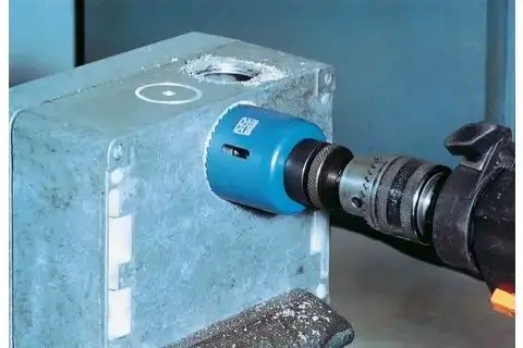 152857-pferd-244777-hls-60-03