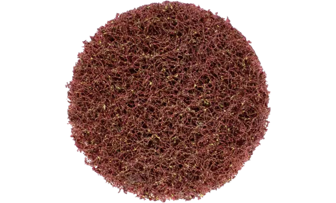 154525-pferd-266687-cd-vrw-50-a-100-vorne-rgb