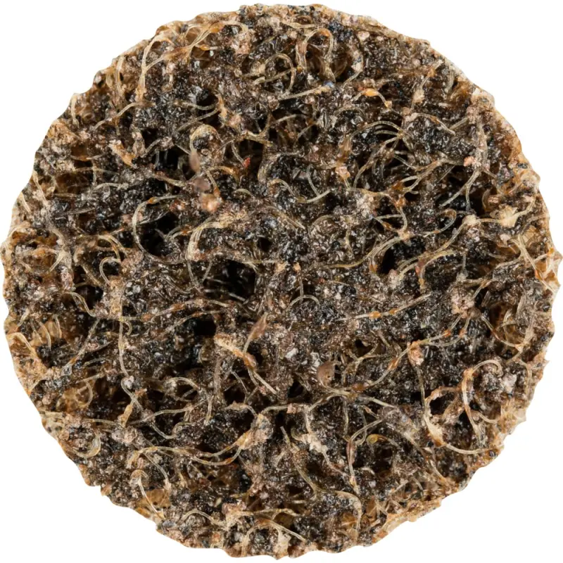 154779-cd-vrh-25-a-100-g-vorne-rgb