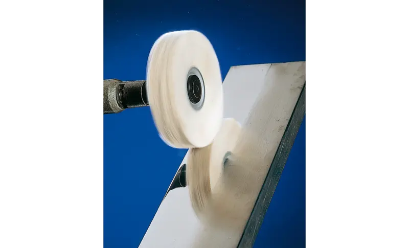 156229-pferd-294154-tr-10010-10-fl-rgb-1