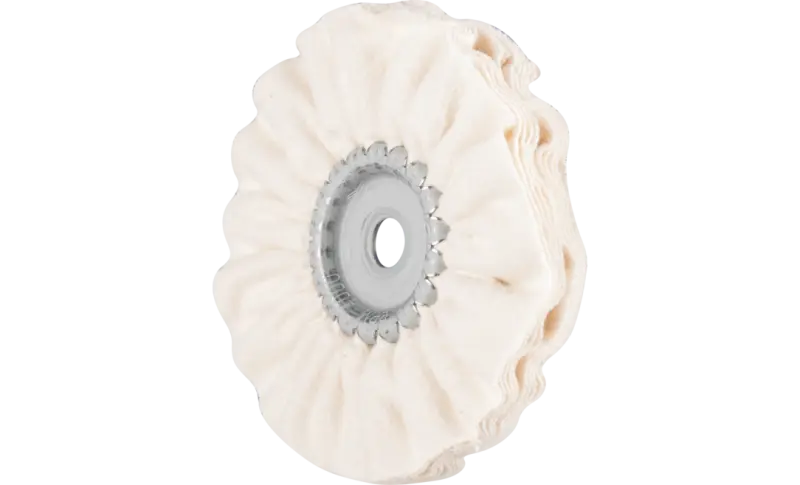 156229-pferd-294154-tr-10010-10-fl-rgb