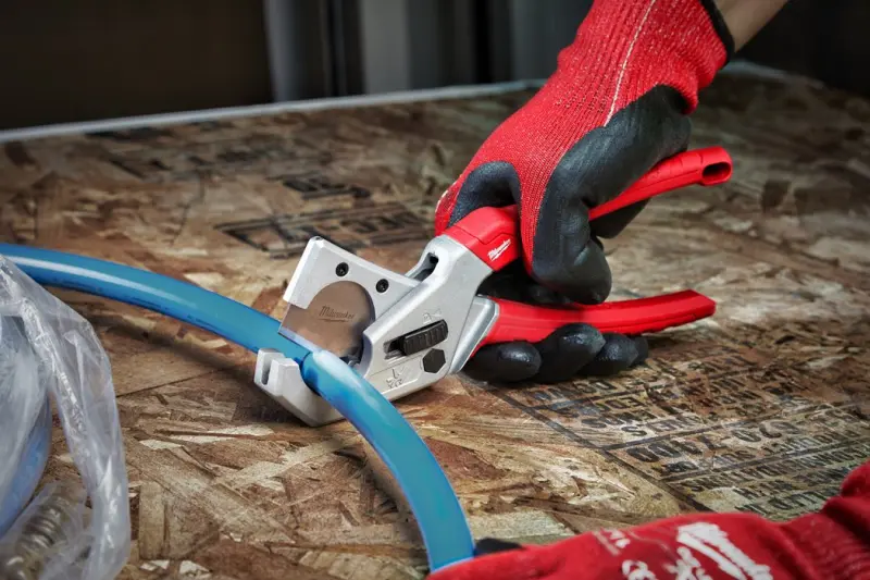 156901-4932479407-01