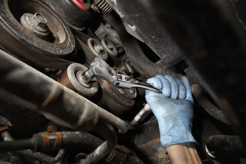 157874-4932479652-app-1