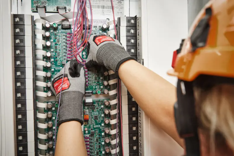 161582-4932480498-app-1