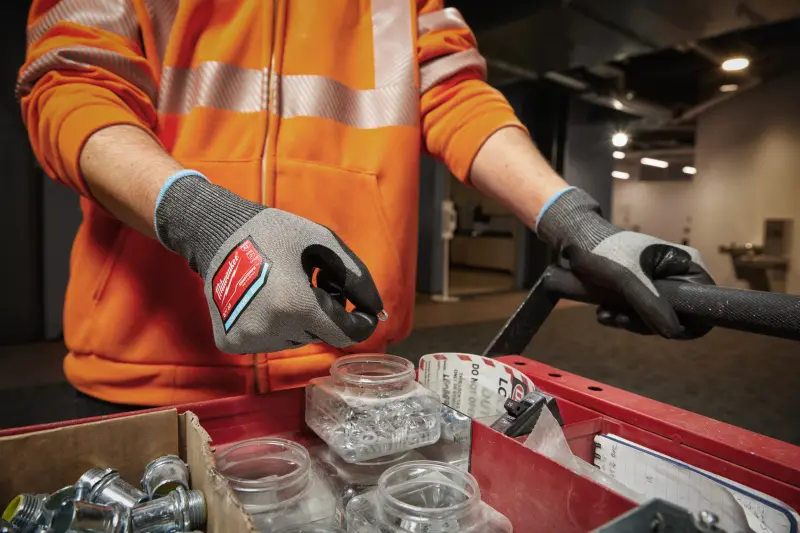 161656-4932480491-app-2-12