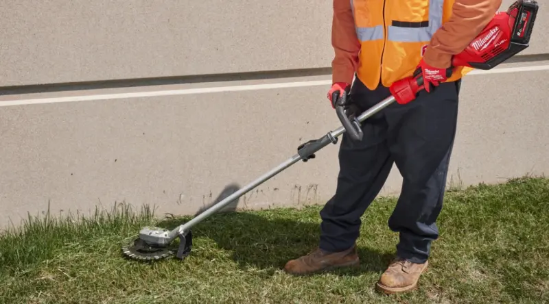 166122-mi4932492669-2