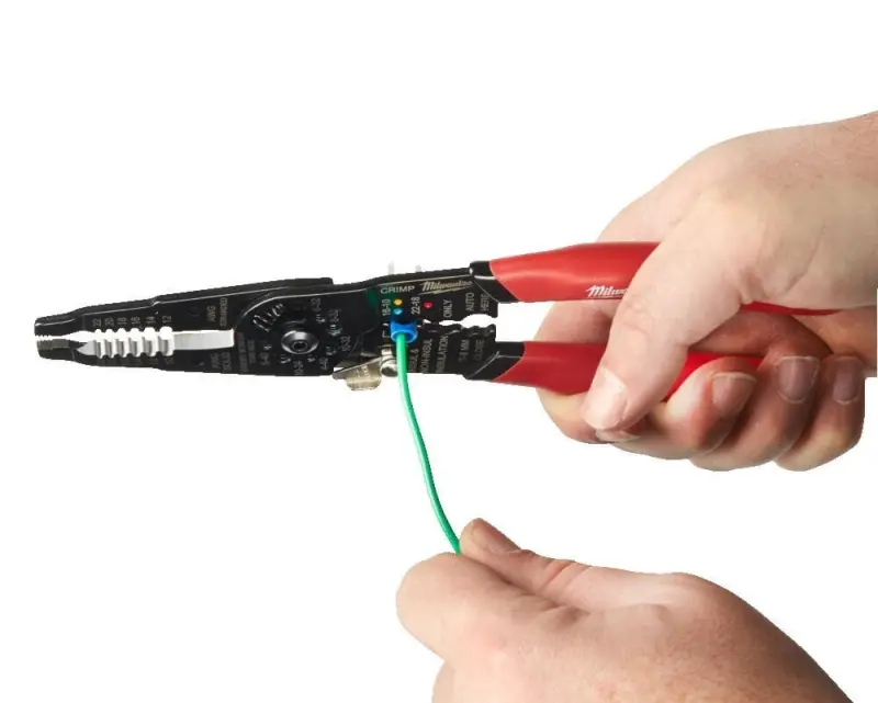 171346-mi4932493816-2