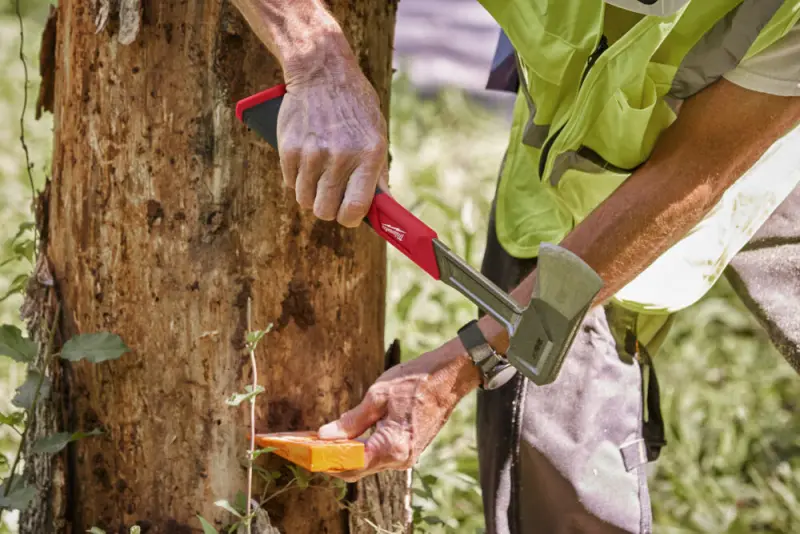 174060-4932499031-05