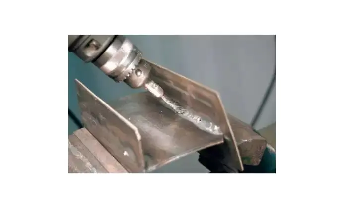 177299-pferd-659267-pbgs-1010-6-st-0-20-03