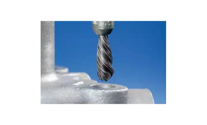 177299-pferd-659267-pbgs-1010-6-st-0-20-05