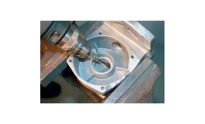 177314-pferd-659281-pbgs-1010-6-st-0-50-05