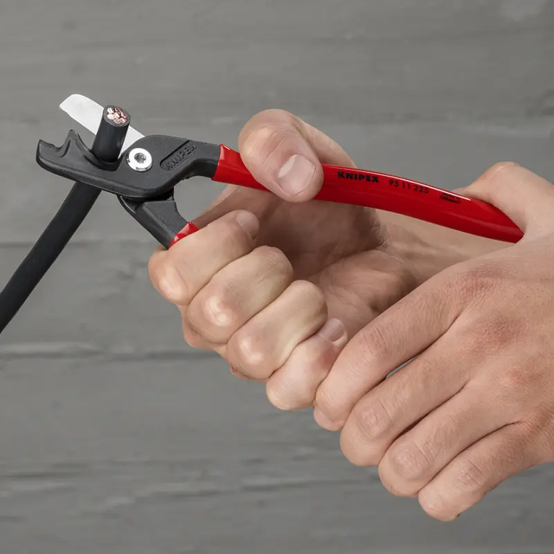 181869-9511225-00-pow-a-01