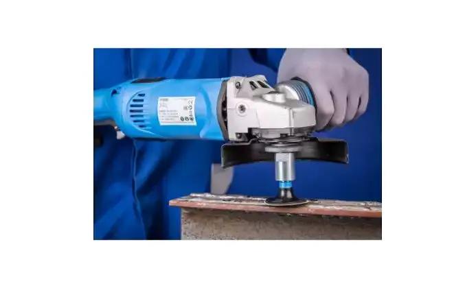 181923-pferd-776353-sbhr-50-h-02