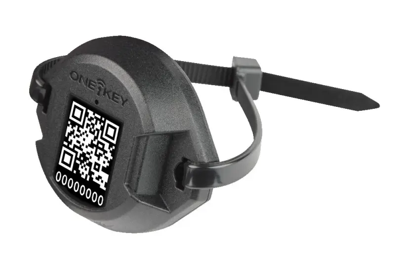 188602-4933478643-03