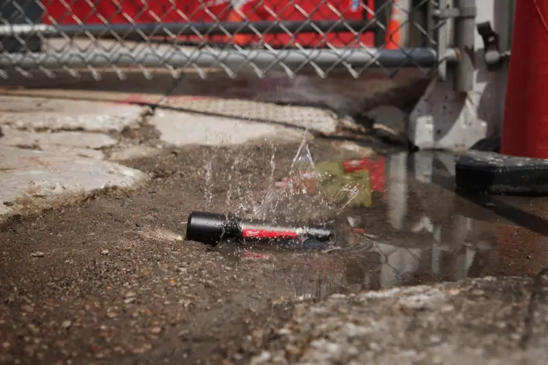 189614-4933479637-03