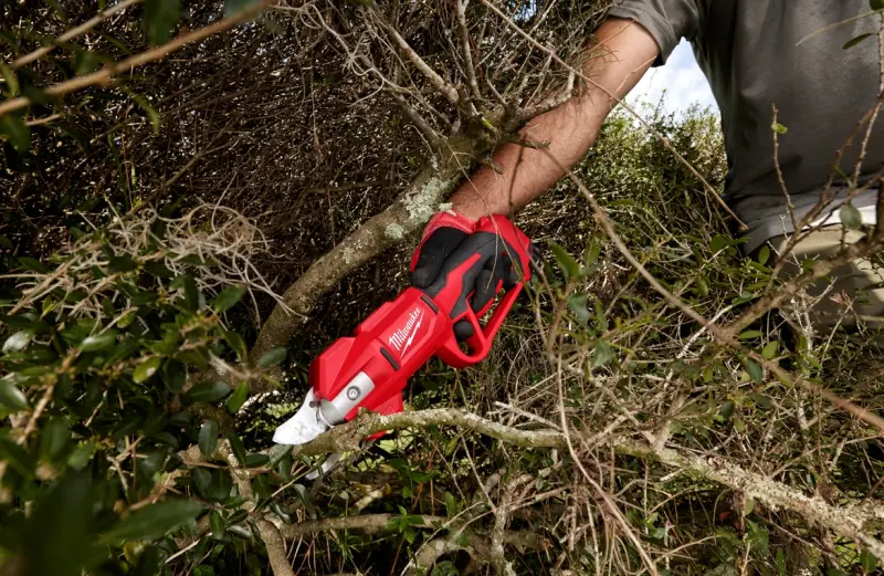 190032-nuzky-0-1-0-3