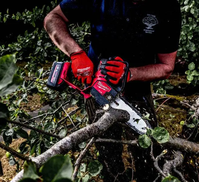 190050-4933480118-01