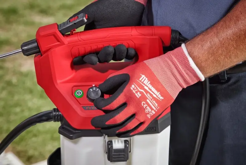 190190-mi4933480781-2