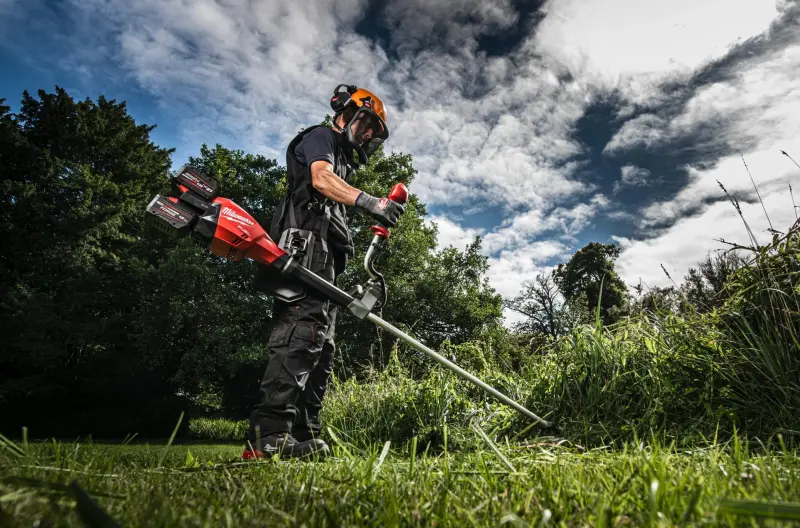 190212-4933480860-02