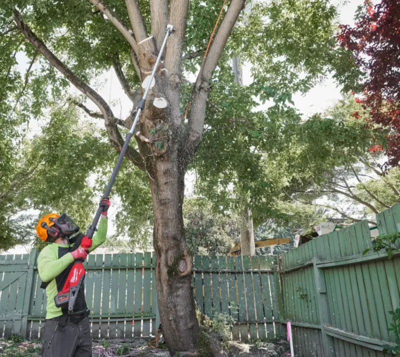 190228-mi4933480868-5