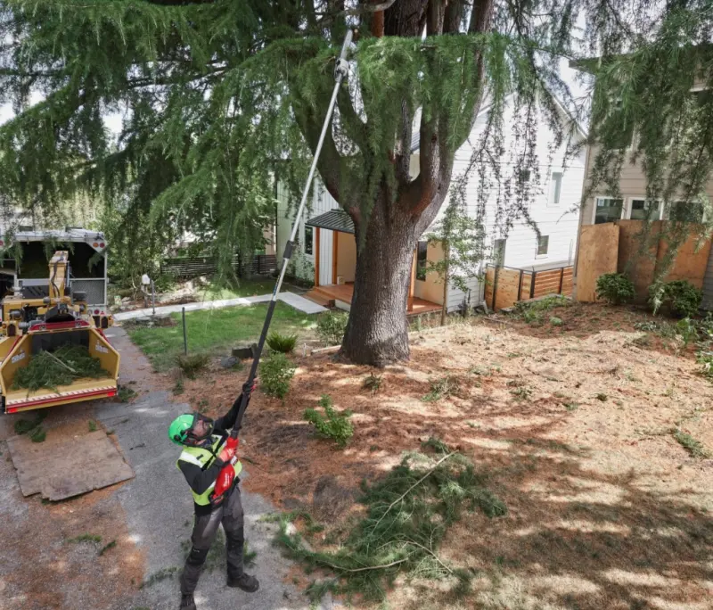 190228-mi4933480868-6