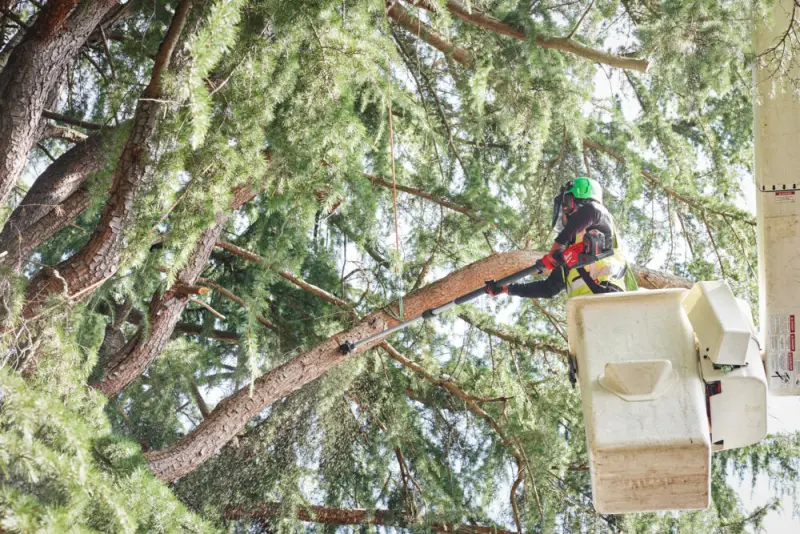 Aku teleskopická řetězová prořezávací pila Milwaukee M18 FTPS30-121, lišta 30 cm, 1x Aku M18 HB12 + nabíječka M12-18 FC, 4933480869 (MI4933480869)