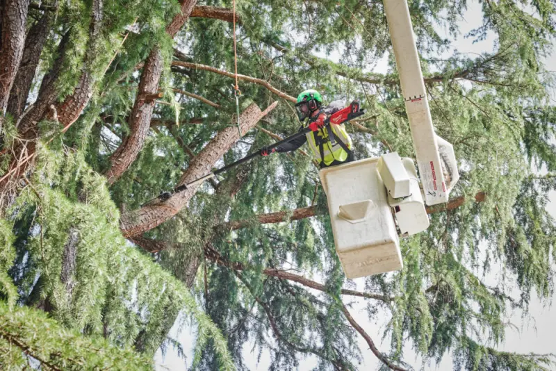 Aku teleskopická řetězová prořezávací pila Milwaukee M18 FTPS30-121, lišta 30 cm, 1x Aku M18 HB12 + nabíječka M12-18 FC, 4933480869 (MI4933480869)