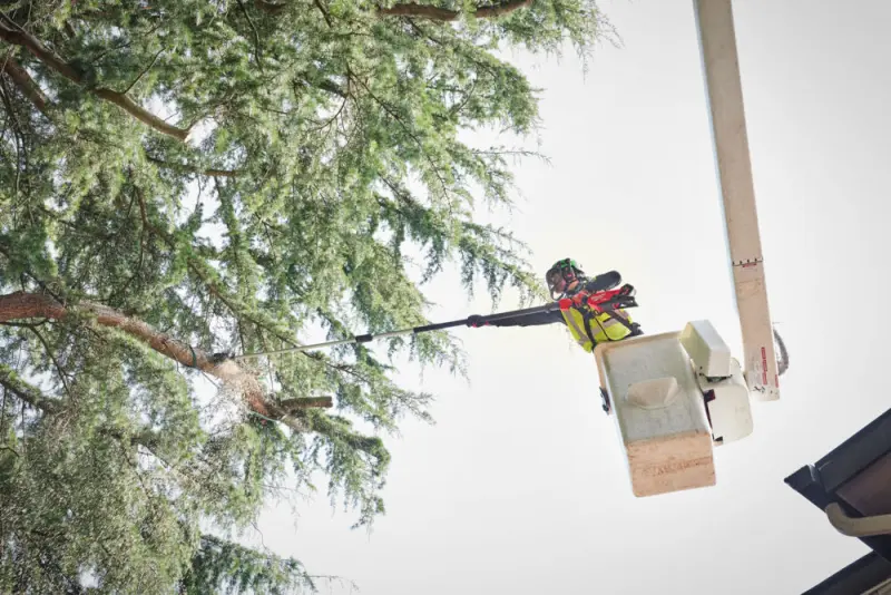 Aku teleskopická řetězová prořezávací pila Milwaukee M18 FTPS30-121, lišta 30 cm, 1x Aku M18 HB12 + nabíječka M12-18 FC, 4933480869 (MI4933480869)