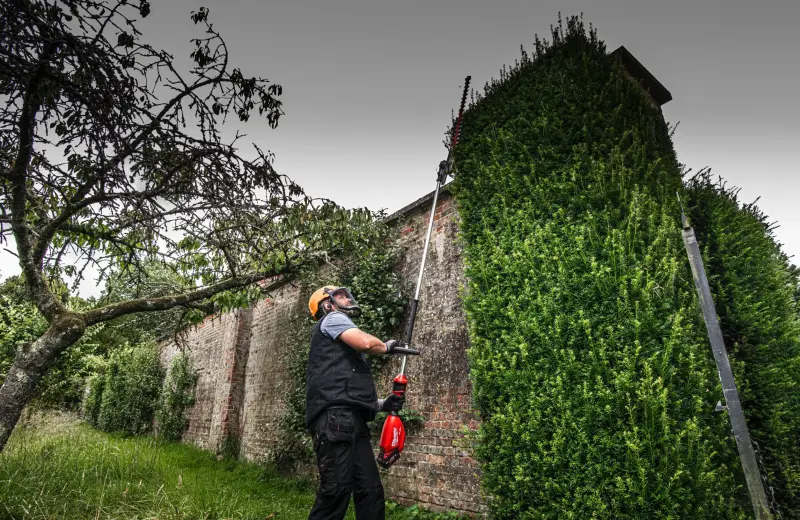 191085-4933492911-02