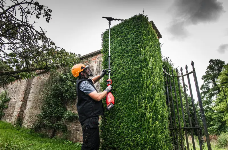 191085-4933492911-03