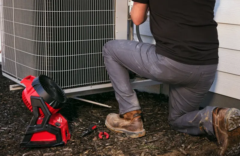 191479-4933493443-04