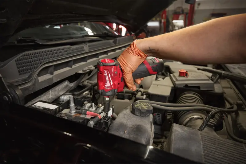 191485-4933493451-11