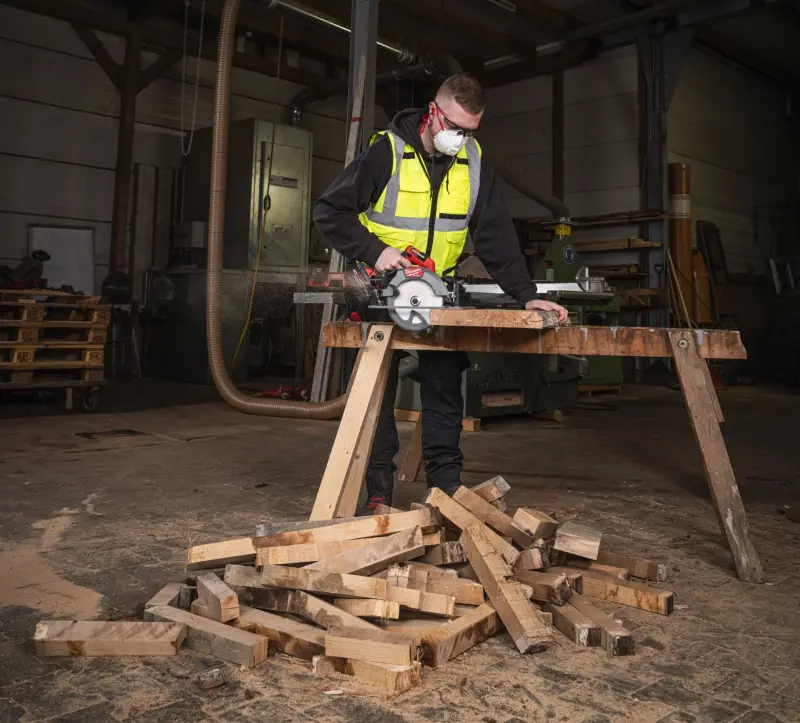 191536-kotoucova-pila-04