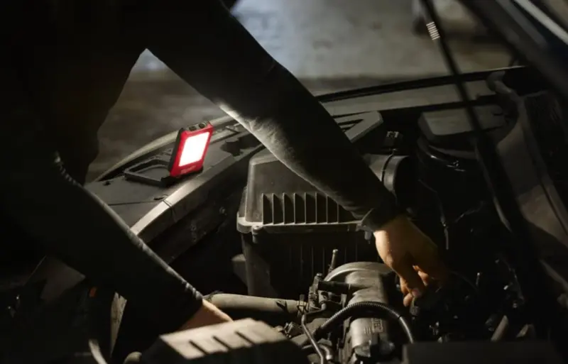 191550-mi4933493528-02