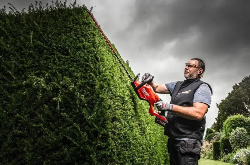 192137-4933498385-01