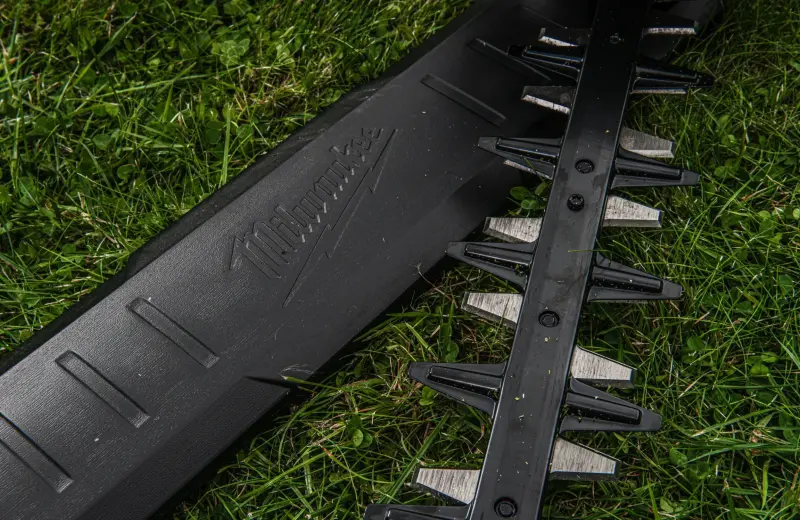 192156-4933498388-06