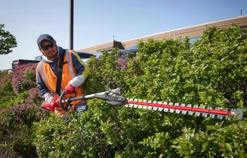 192182-4933498516-04