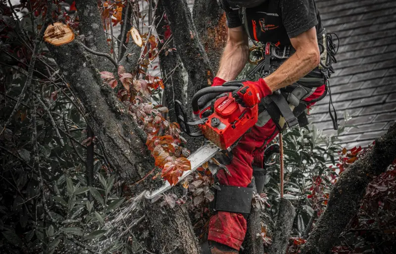 192368-4933499221-02