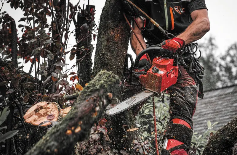 192368-4933499221-03