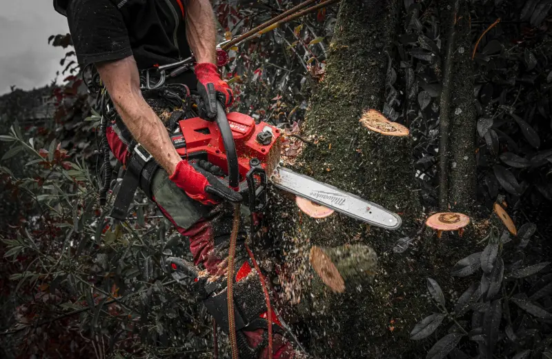 192368-4933499221-04