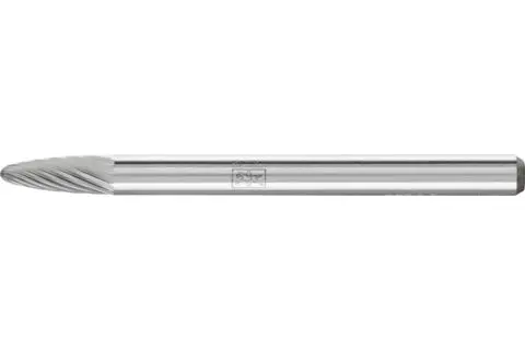 19911-pferd-049884-rbf-0307-3-z5