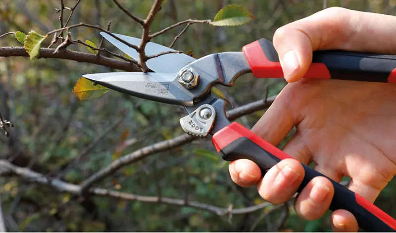 29804-bess-d52-2-04-631860f72d3ac969233279