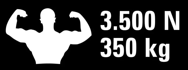 30961-bess-ste-graph