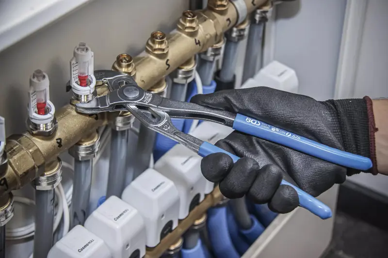 Kleště sika "SpeedyPlus" 250 mm BGS100676 (BGS100676)